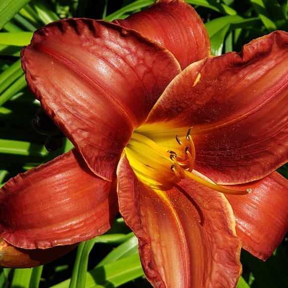 Thriftyminded's upcoming thoughtfully curated live shows - Picture 8 of 9